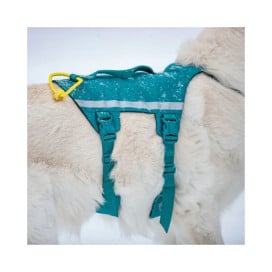 Non-stop Dogwear Arnés Ramble Long con 6 Puntos de Ajuste para Perro Patitas&co Patitas&co