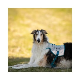 Non-stop Dogwear Chaleco Refrescante para Perro Patitas&co Patitas&co