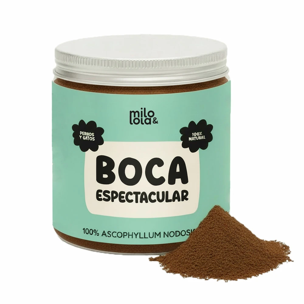 Milo Y Lola Suplemento Boca Espectacular - Alga Ascophyllum Higiene dental, ojos y oídos gatos Patitas&co