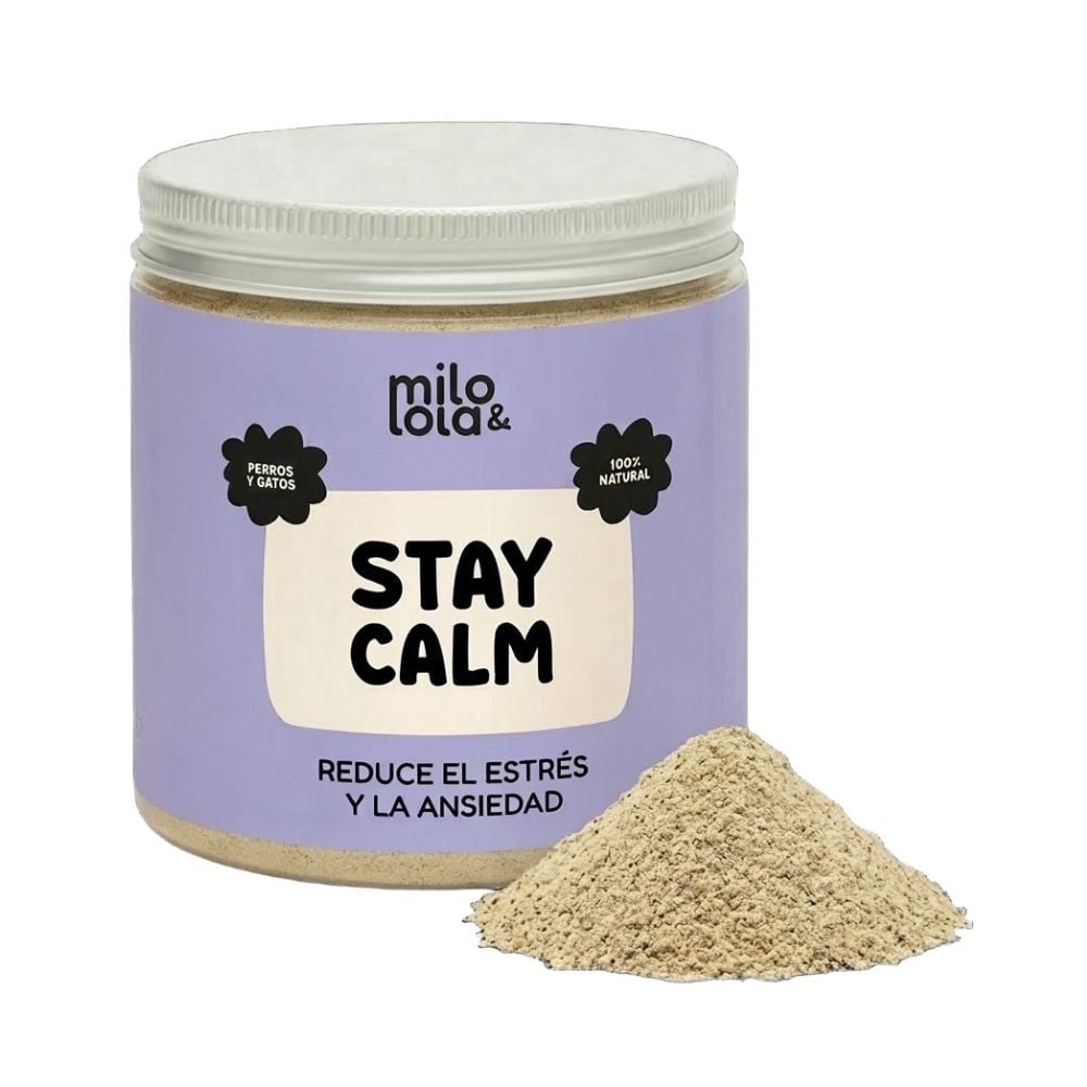 Milo y Lola Stay Calm