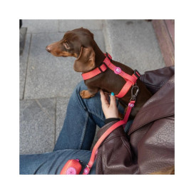 Dukier Kaleido Pink Grid Arnés Clásico para Perro Patitas&co Patitas&co