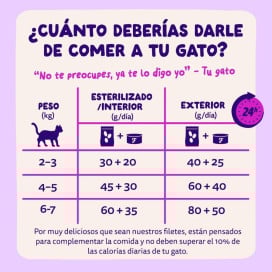 Edgard and Cooper Lata de Filetes de Salmón y Atún para Gato Comida húmeda para gatos Patitas&co