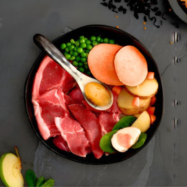 Canagan Pienso de Cordero para Perros Pienso para Perros Patitas&co