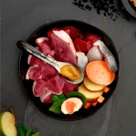 Canagan Pienso de Carnes de Caza para Gatos Pienso para gatos Patitas&co