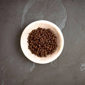 Canagan Pienso de Pollo Campero para Gatos Pienso para gatos Patitas&co