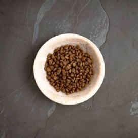 Canagan Pienso de Pavo Campero Prodental para Gatos Pienso para gatos Patitas&co