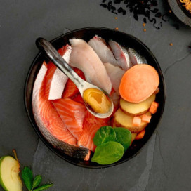 Canagan Pienso de Salmón Escocés para Gatos Pienso para gatos Patitas&co