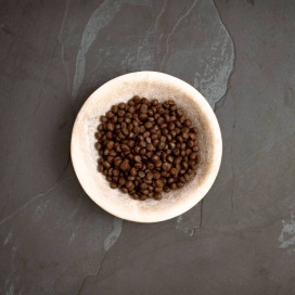 Canagan Pienso de Salmón Escocés para Gatos Pienso para gatos Patitas&co