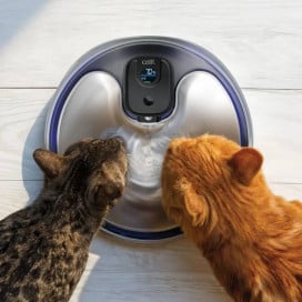 Catit PIXI Fuente Sin Cables de Acero inoxidable Fuentes para Gatos Patitas&co