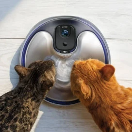 Catit PIXI Fuente Sin Cables de Acero inoxidable Fuentes para Gatos Patitas&co