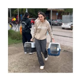 Dona a Patitas&Rescue Protectoras de Animales Patitas&co