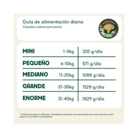 Wild Balance Cazuela Casera de Boquerón, Pavo y Manzana para Perro Patitas&co Patitas&co