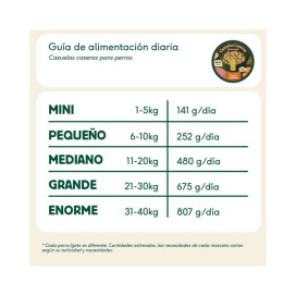 Wild Balance Cazuela Casera de Cerdo y Calabaza para Perro Patitas&co Patitas&co