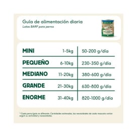 Wild Balance Comida Húmeda Cocinada de Cerdo y Merluza para Perro Patitas&co Patitas&co