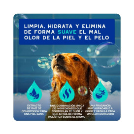 Douxo Spa Champú Antiolor para Perro Patitas&co Patitas&co