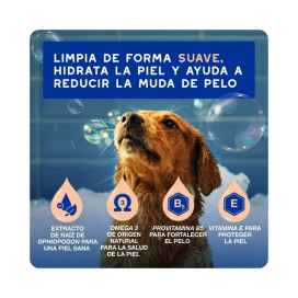 Douxo Spa Champú para Control de la Muda para Perro Patitas&co Patitas&co