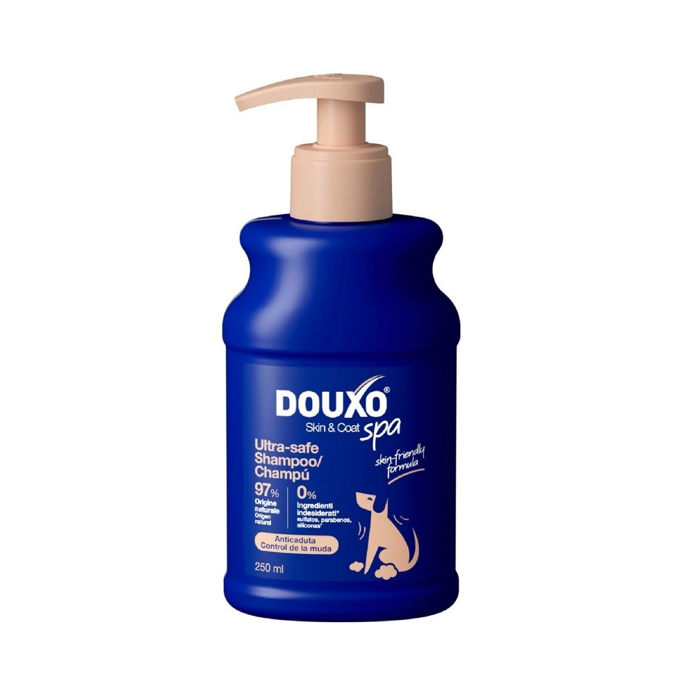 Douxo Spa Champú para Control de la Muda para Perro Patitas&co Patitas&co