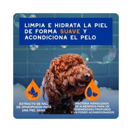 Douxo Spa Champú y Acondicionador 2 en 1 para Perro Patitas&co Patitas&co