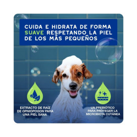 Douxo Spa Champú para Perro Cachorro Patitas&co Patitas&co