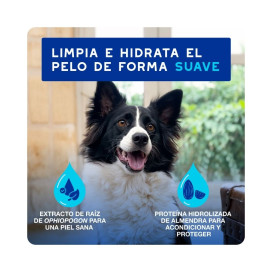 Douxo Spa Mousse Limpieza Exprés para Perro Patitas&co Patitas&co