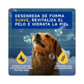 Douxo Spa Acondicionador de Avena para Perro Patitas&co Patitas&co
