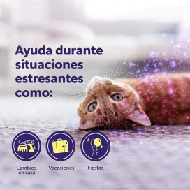 Feliway Help Difusor + Recambio Feromonas y Relajantes para Gatos Patitas&co