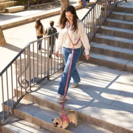 Dukier Correa Multiposición Terracota Accesorios de Paseo para Perro Patitas&co