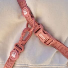 Dukier Correa Multiposición Terracota Accesorios de Paseo para Perro Patitas&co