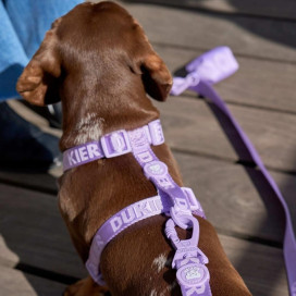 Dukier Arnés Clásico Violet para Perro Patitas&co Patitas&co