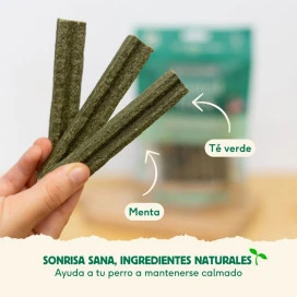 Wild Balance Stick Dental Calming & Chill para Perro Higiene dental perros Patitas&co