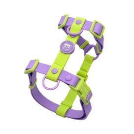 Dukier Arnés Waterproof Violet Matcha para Perro Patitas&co Patitas&co