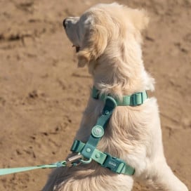 Dukier Arnés Waterproof Jade Mint para Perro Patitas&co Patitas&co