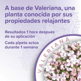 Beaphar Pipetas Calmantes para Gato (3 uds) Patitas&co Patitas&co