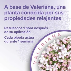 Beaphar Pipetas Calmantes para Gato (3 uds) Patitas&co Patitas&co