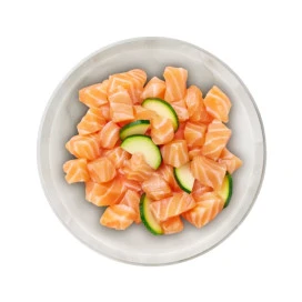Terra Felis Lata de Salmón para Gato Comida húmeda para gatos Patitas&co