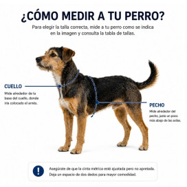Arnés Patitas Inca Accesorios de Paseo para Perro Patitas&co