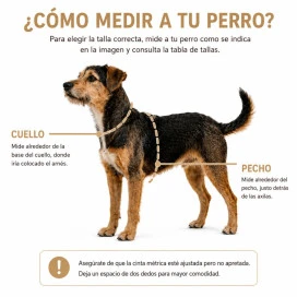 Arnés Patitas Cerezas Accesorios de Paseo para Perro Patitas&co