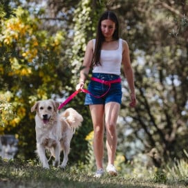 Freedog Correa Limitless Ajustable 120-220 cm Fucsia para Perro Accesorios de Paseo para Perro Patitas&co