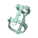 Dukier Arnés Waterproof Turquoise para Perro