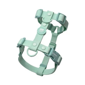 Dukier Arnés Waterproof Turquesa para Perro Accesorios de Paseo para Perro Patitas&co