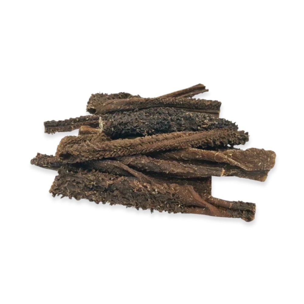 Mordedores Tripa Verde de Cordero Deshidratada (10 uds) Mordedores para Perros Patitas&co