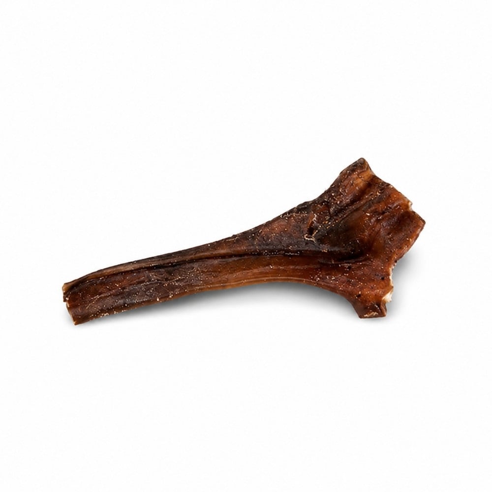Mordedor Natural de Caravaca de Camello Deshidratado Mordedores para Perros Patitas&co