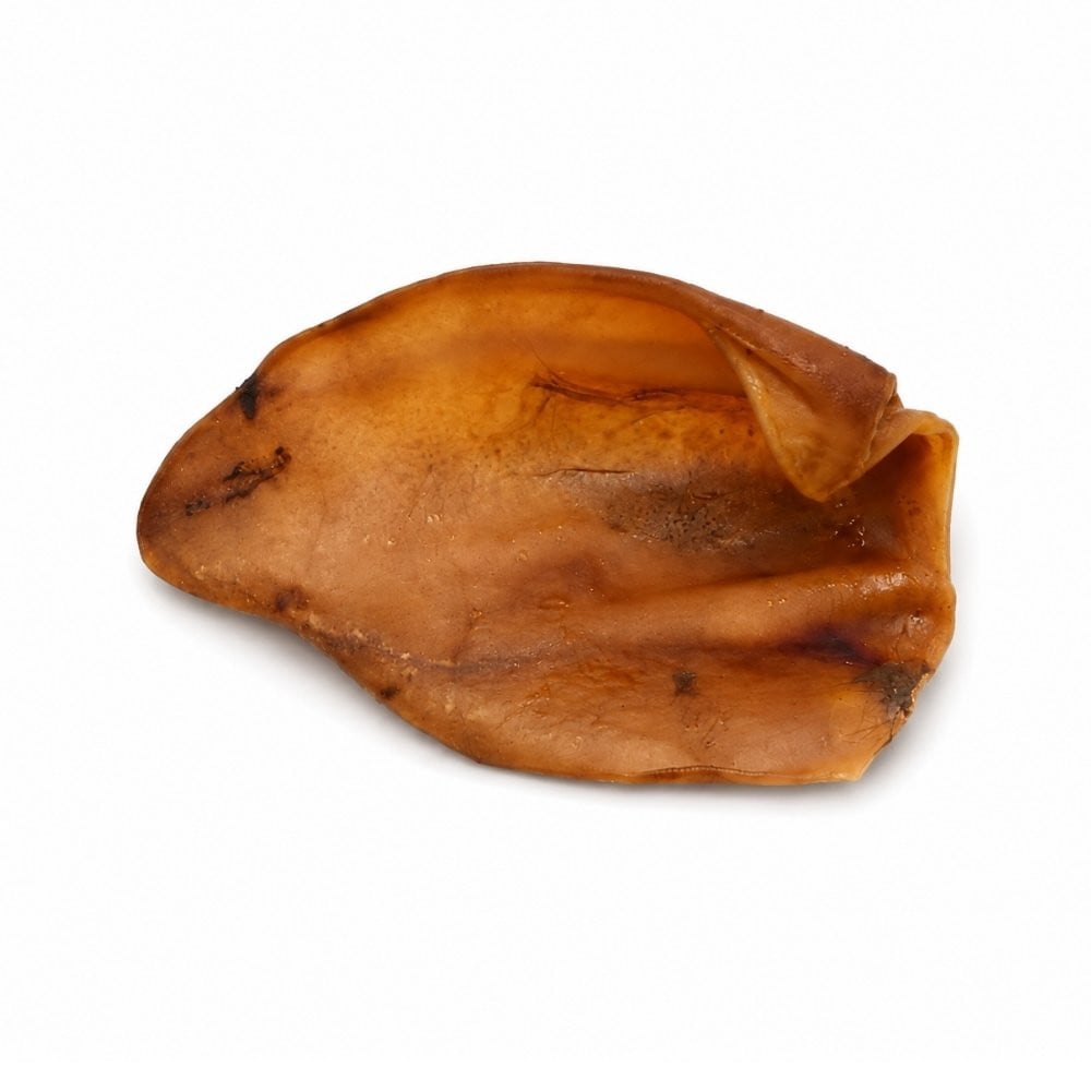 Mordedor Natural Oreja de Cerdo Mordedores para Perros Patitas&co