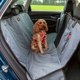 Kong Protector 2 en 1 para Coche Seguridad y Viaje para Perro Patitas&co