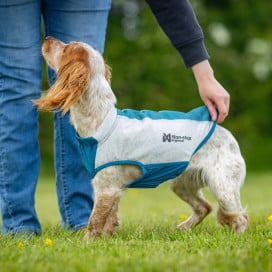 Non-stop Dogwear Chaleco Refrescante Elástico para Perro Patitas&co Patitas&co