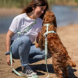 Dukier Correa Multiposición Waterproof Turquoise para Perro Accesorios de Paseo para Perro Patitas&co