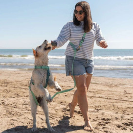 Dukier Correa Multiposición Waterproof Jade Mint para Perro Accesorios de Paseo para Perro Patitas&co