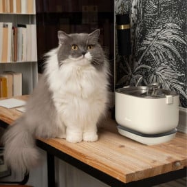 Bandit Fuente de Agua Automática Crema Fuentes para Gatos Patitas&co