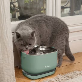 Bandit Fuente de Agua Automática Verde Fuentes para Gatos Patitas&co