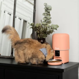 Bandit Comedero Automático Melocotón Comederos para perros Patitas&co